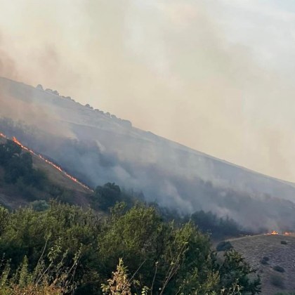 Пожар гори край пазарджишкото село Бяга За това алармират граждани Бяга