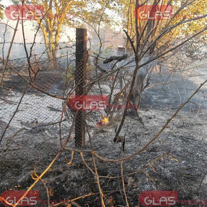 Пожарът край пловдивското село Динк вече е овладян Това съобщават