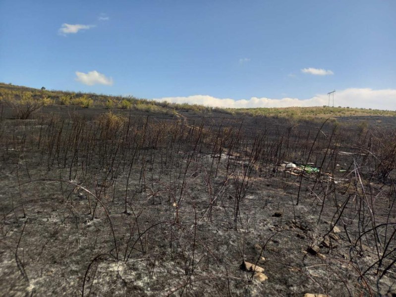 Около три хиляди декара сухи треви и стърнища изгоряха при