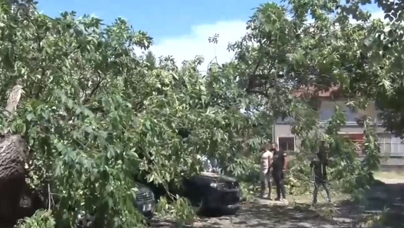 Буря връхлетя Симеоновград, дървета смачкаха коли