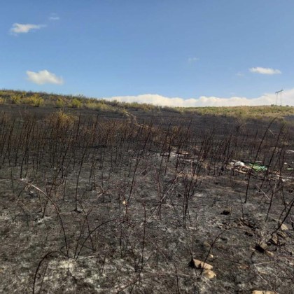 3000 декара изгоряха край Ветрен, дежурни екипи остават на място