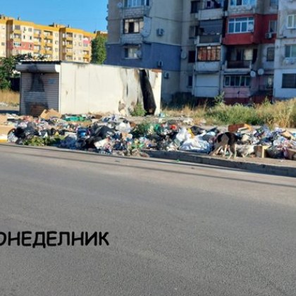 След извозване на 19 т боклук от Столипиново - ново сметище за часове СНИМКИ