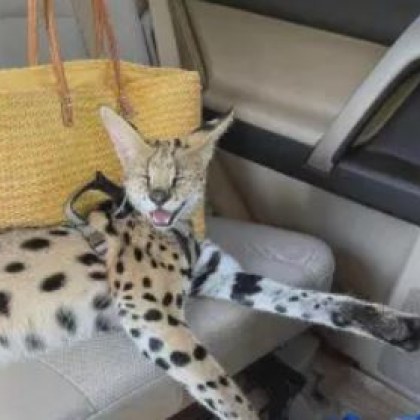 Във връзка с публикации в социалните мрежи и получен сигнал