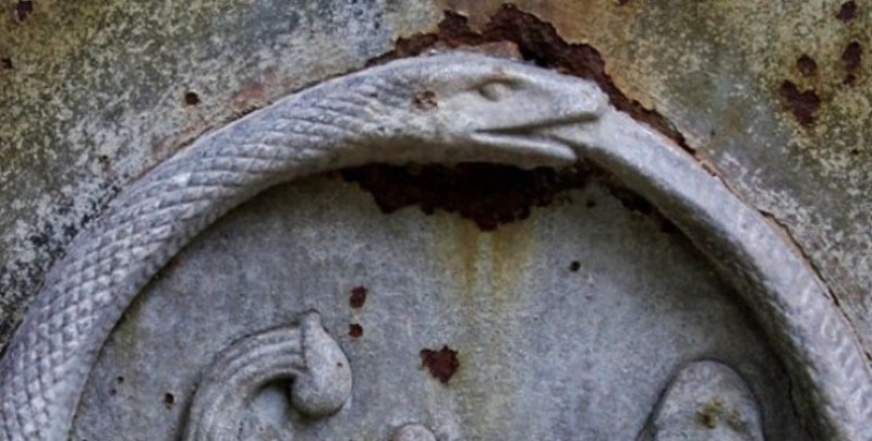 Емблема на вечността или спирала на смъртта? Защо змиите поглъщат опашките си ВИДЕО 18+