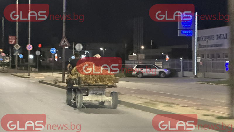 Каруца шпори по пловдивски булевард, къде е полицията? СНИМКИ