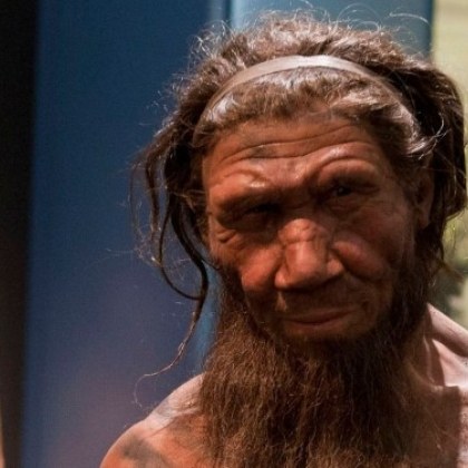 Изследователите твърдят че са пресъздали неандерталски и денисовски молекули които