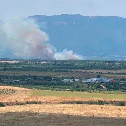 Горят сухи треви между селата Новаково Леново и Тополово Пожарът