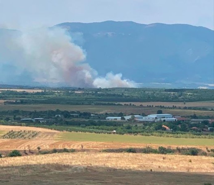 Пожар избухна между асеновградски села, четири пожарни гасят пламъците  СНИМКИ