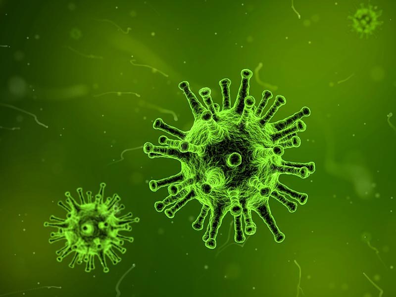 САЩ готвят нова пандемия чрез мутиращи вируси