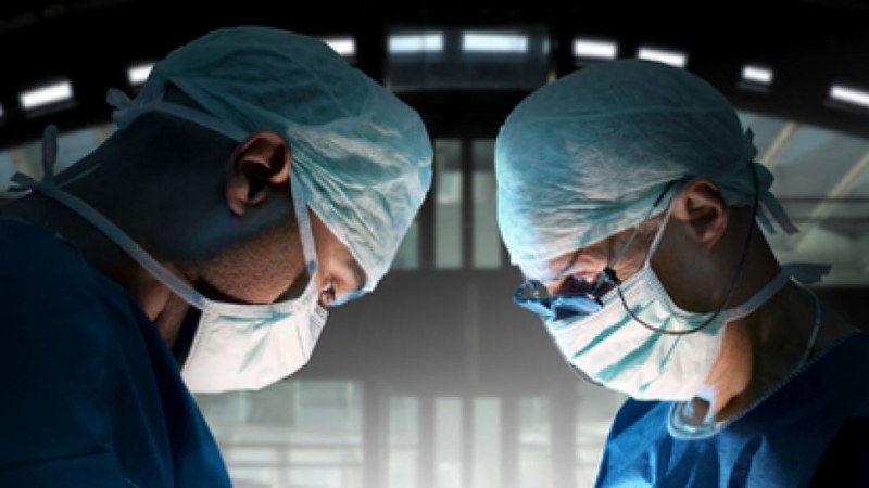 Свински бъбрек, трансплантиран на човек в мозъчна смърт, работи вече втори месец