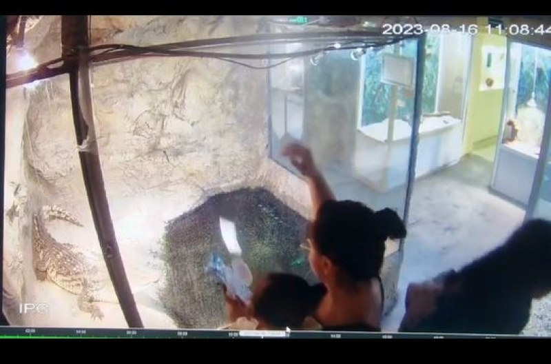 Грозно! Майка хвърля мокри кърпи в терариум в музей в Пловдив  ВИДЕО
