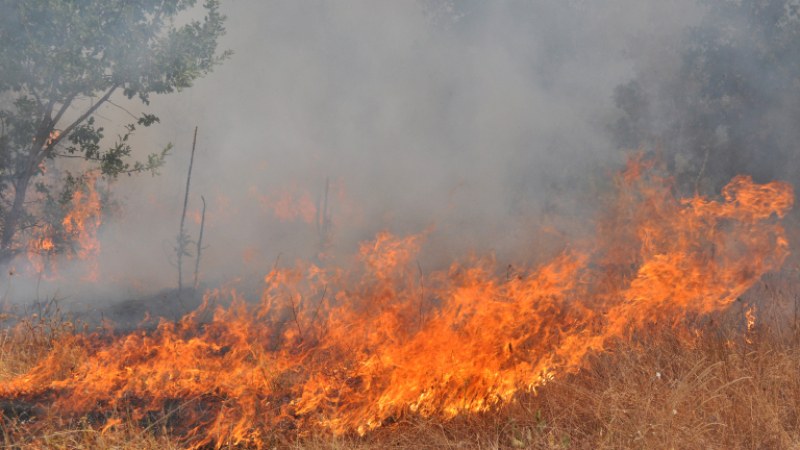 Голям пожар между свиленградските села Младиново и Пъстрогор. Горят сухи