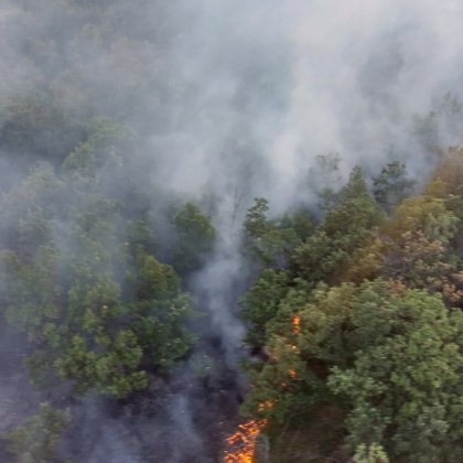 По земя и въздух продължава гасенето на горския пожар край