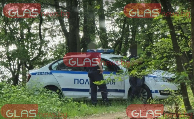 Пребиха горски при проверка на камион с дърва
