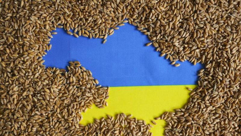 Руски дронове унищожиха 13 000 тона зърно в украинско пристанище