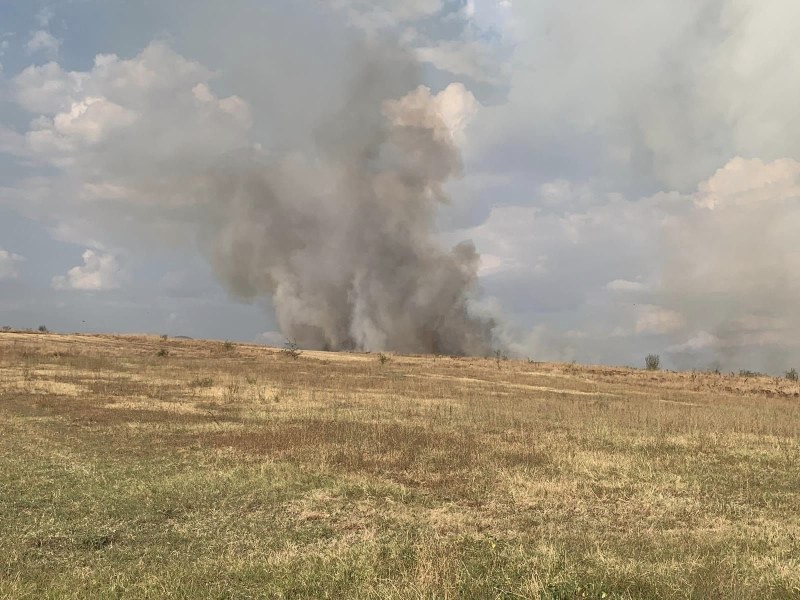 Седем часа огнеборци гасиха пожар край пловдивски села СНИМКИ