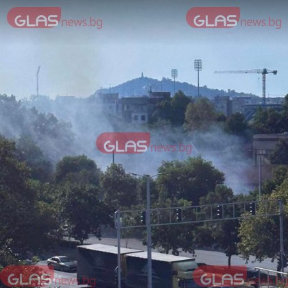 Пожар пламна в Пловдив Сухи треви горят срещу кметството на район