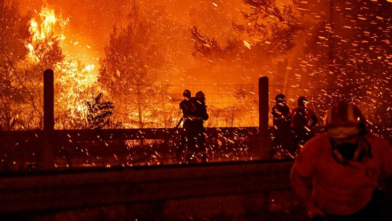 Още една жертва на пожарите в Гърция