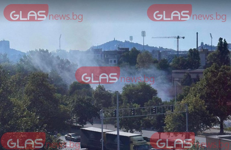 Пожар пламна в Пловдив.Сухи треви горят срещу кметството на район