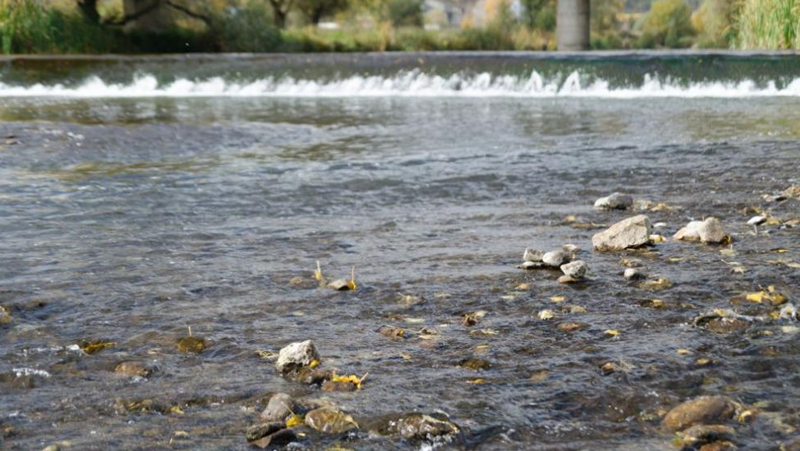 Водните количества ще бъдат под праговете за внимание през следващите дни