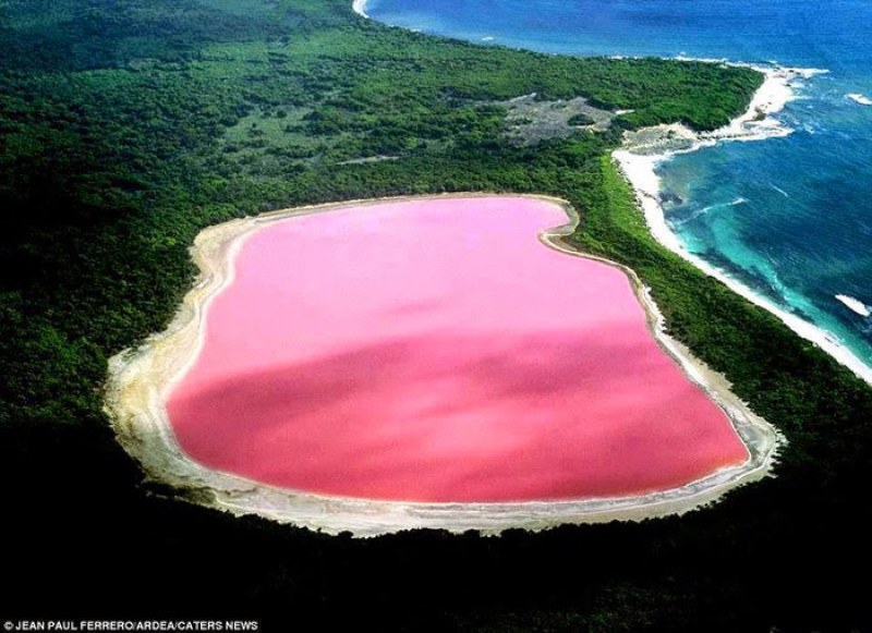 Вижте най-красивите розови езера в света