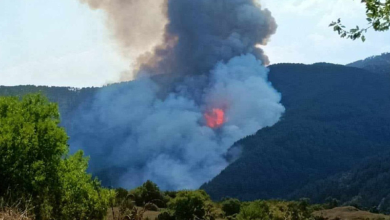 Чепеларе обяви частично бедствено положение заради пожара край Хвойна