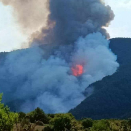Община Чепеларе обяви частично бедствено положение заради горския пожар който