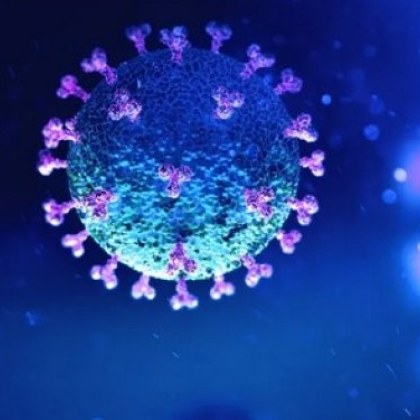 Вирусът COVID 19 се разпространи по света и засегна много хора  Въпреки