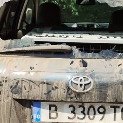 Арестуваха мъжа, зарязал двете си кучета да умрат в джип