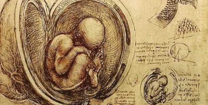 Известният учен и художник Леонардо да Винчи разми границата между