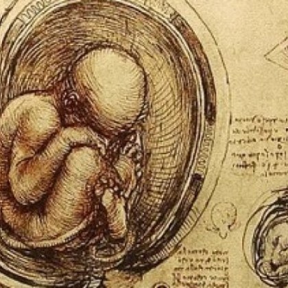 Известният учен и художник Леонардо да Винчи разми границата между