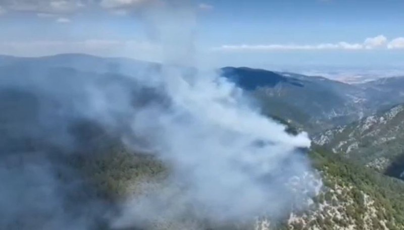 Отново голям пожар в Родопите, пожарникарите не могат да стигнат