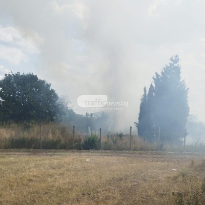 Горят сухи треви в гробищния парк на пловдивското село Зелениково