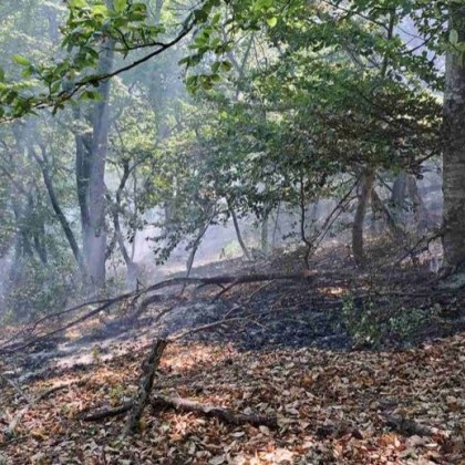 Потушен е пожара край асеновградското село Добростан Радостната вест съобщиха