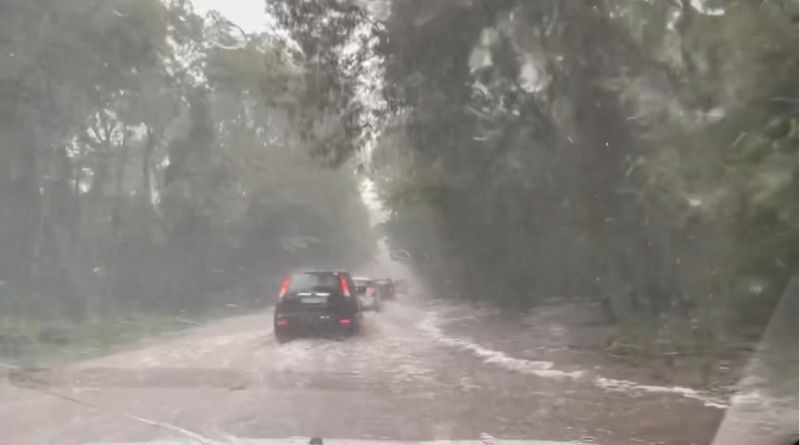 Спешни мерки за почистване на пътищата в района на Царево взе АПИ ВИДЕО