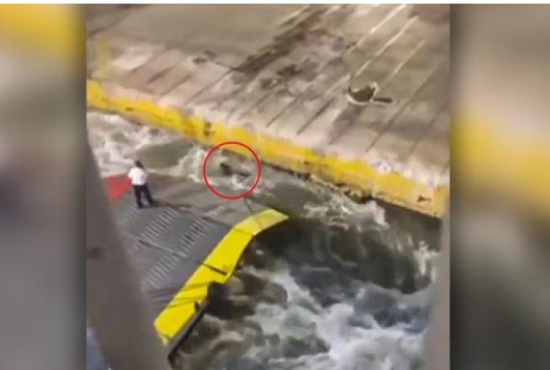 Членове на екипажа на кораб в Гърция избутаха в морето