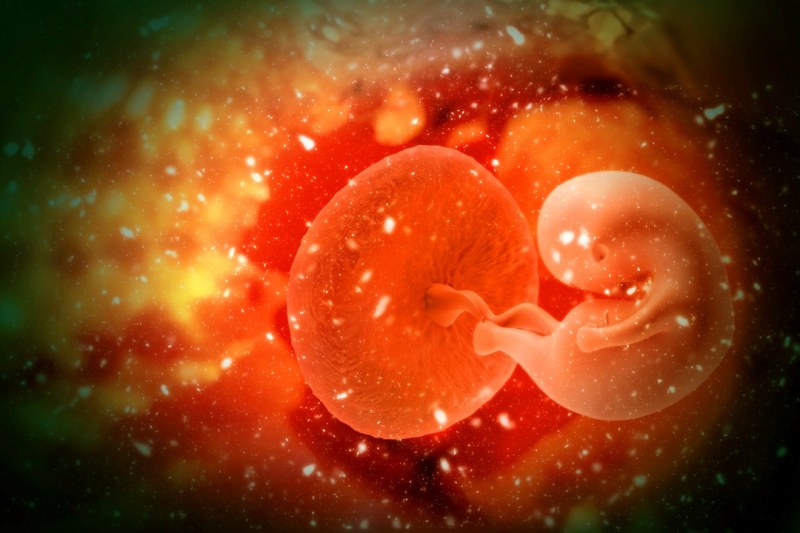 Учените създадоха изкуствен ембрион, без сперма и яйцеклетка