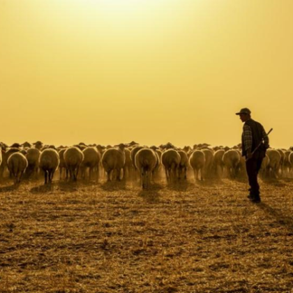 Полицията задържа 25 годишен пастир подал фалшив сигнал за изчезнали туристи