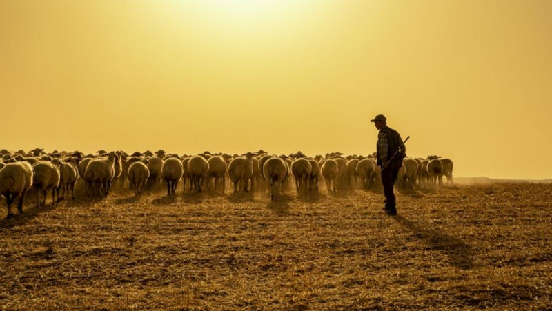 Полицията задържа 25-годишен пастир, подал фалшив сигнал за изчезнали туристи