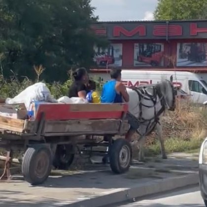 Забрана ли? Каручките не спират да се движат из Пловдив ВИДЕО+СНИМКИ