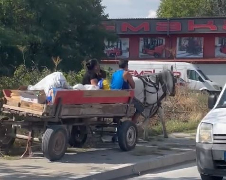 Забрана ли? Каручките не спират да се движат из Пловдив ВИДЕО+СНИМКИ