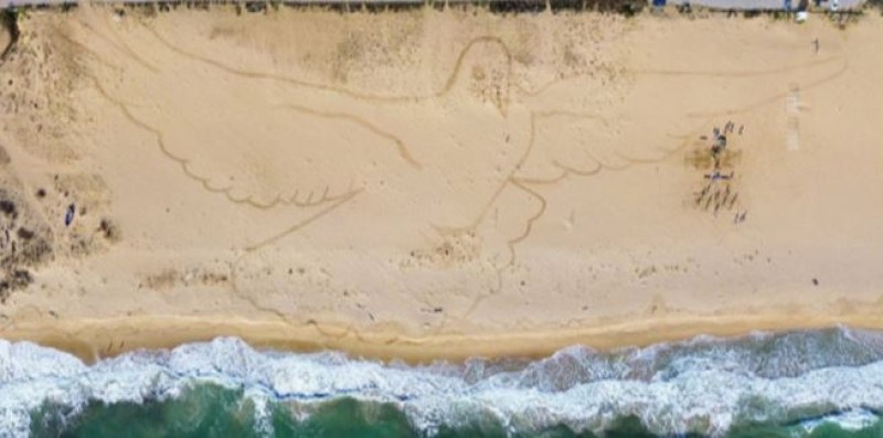 Пясъчна рисунка на гълъб с огромни размери може да се