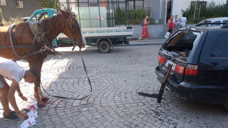 Кон, теглещ каруца, припадна и удари кола в София