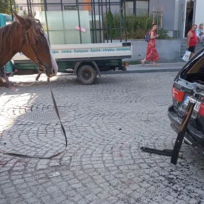 Инцидент между каруца и автомобил е станал вчера в София  Около