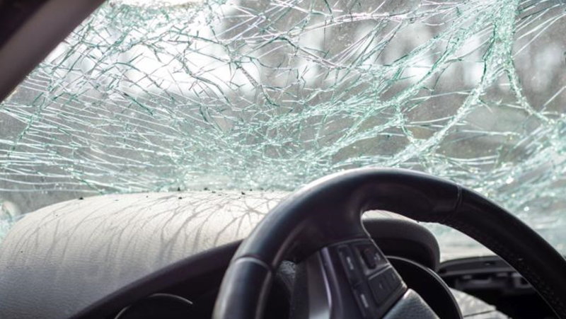 Шофьорка претърпя катастрофа, след като на пътя й изскочило куче