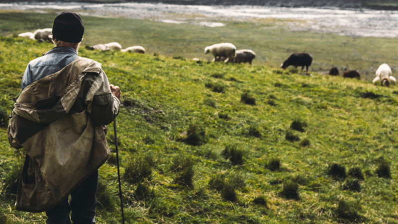 Мъжът, чийто труп е открит край село Скутаре, е бил пастир
