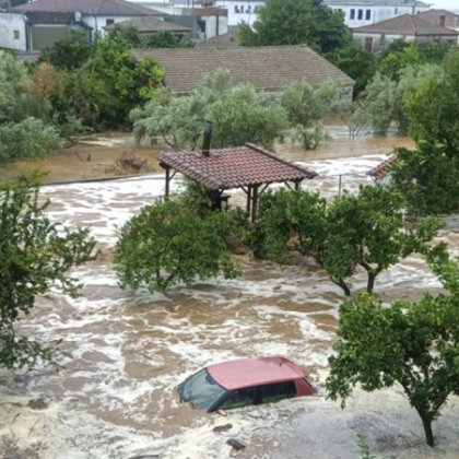 Над 200 хил. селскостопански животни са обявени за мъртви след потопа в Гърция