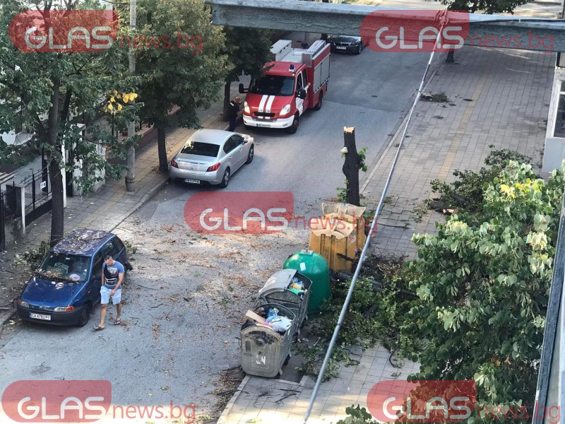 Дърво се сгромоляса върху кола в Пловдив СНИМКИ