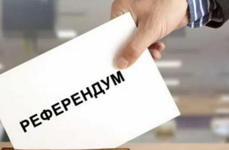 Задвижиха организацията на референдум за 3 март