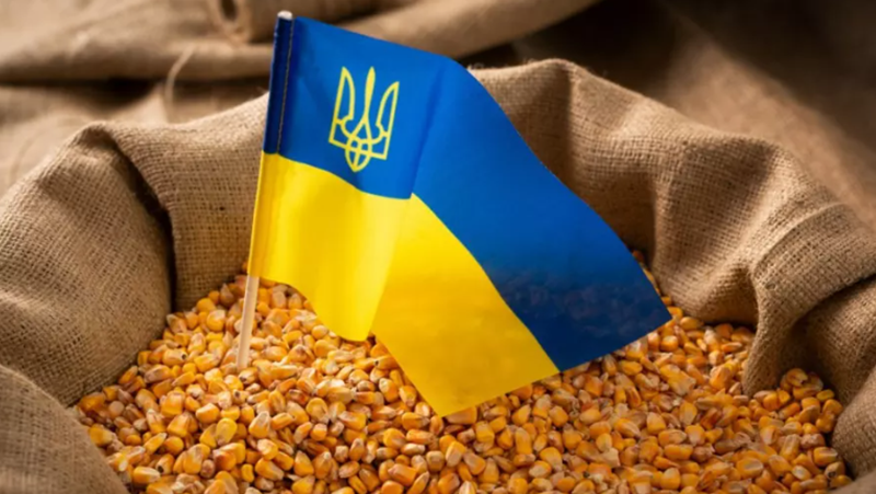 Земеделските стоки, внасяни от Украйна в Европейския съюз, отговарят на